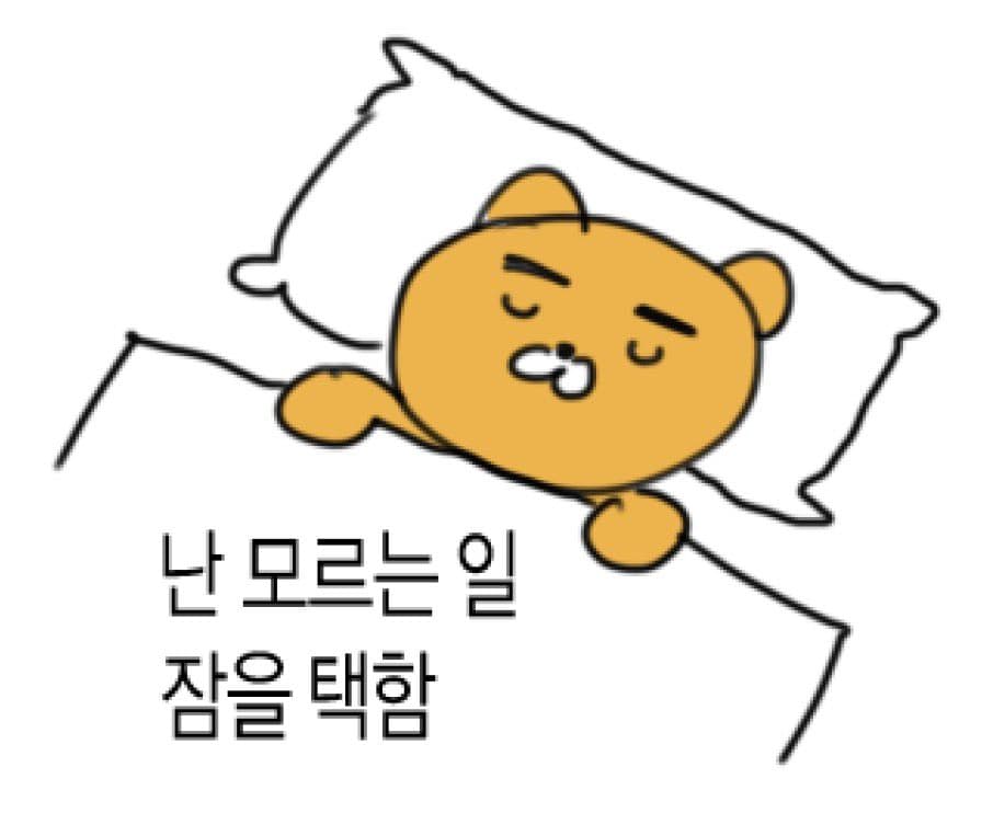 게시글 이미지 4