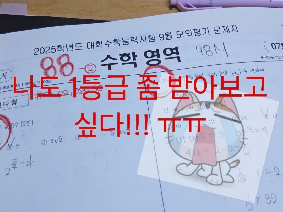 게시글 이미지 3