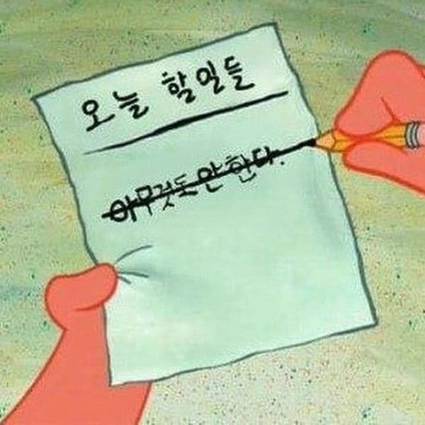 게시글 이미지 1
